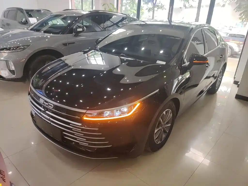 BYD Destroyer 05 2024 Glory Edition DM-i 55KM Luxury