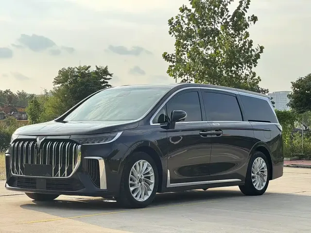 Voyah Auto Voyah Dreamer 2022 Low Carbon Edition Home