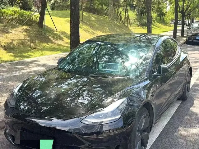 Tesla Model 3 2021 Standard Range Rear-Wheel Drive Upgrade