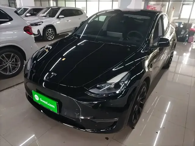 Tesla Model Y 2021 Model Long Range AWD