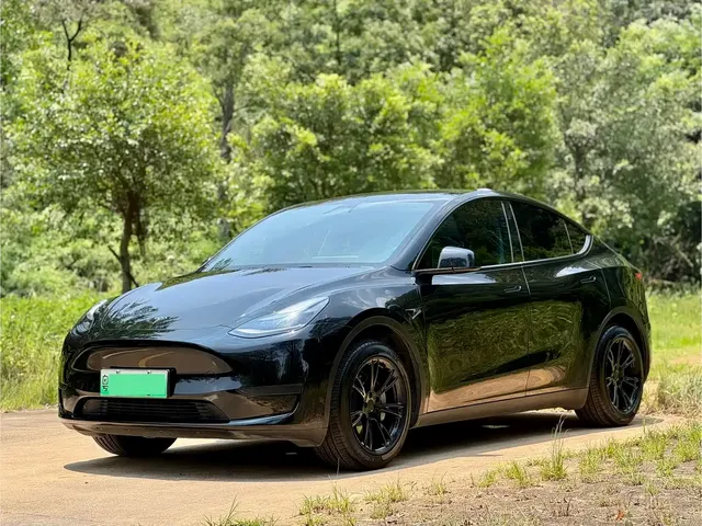 Tesla Model Y 2024 Rear-Wheel Drive Version