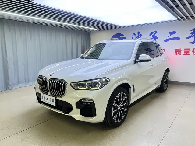 BMW X5 (Import) 2019 xDrive30i M Sport Package