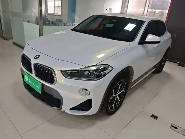 BMW X2 (Import) 2019 sDrive20i M Off-Road Package China VI