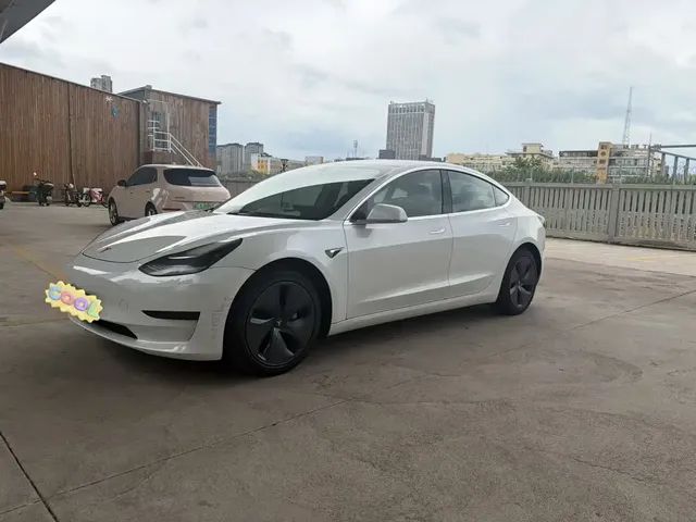 Tesla Model 3 2020 Standard Range Rear-Wheel Drive Upgrade