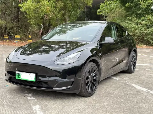 Tesla Model Y 2022 Rear-Wheel Drive Version