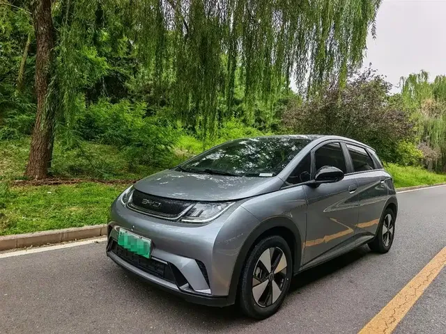 BYD Dolphin 2023 420km Freedom Edition