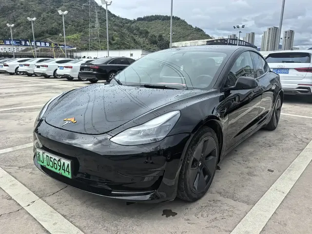 Tesla Model 3 2021 Standard Range Rear-Wheel Drive Upgrade