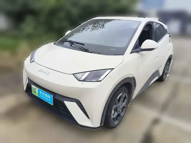BYD Seagull 2025 305km Freedom