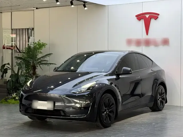 Tesla Model Y 2024 Rear-Wheel Drive Version