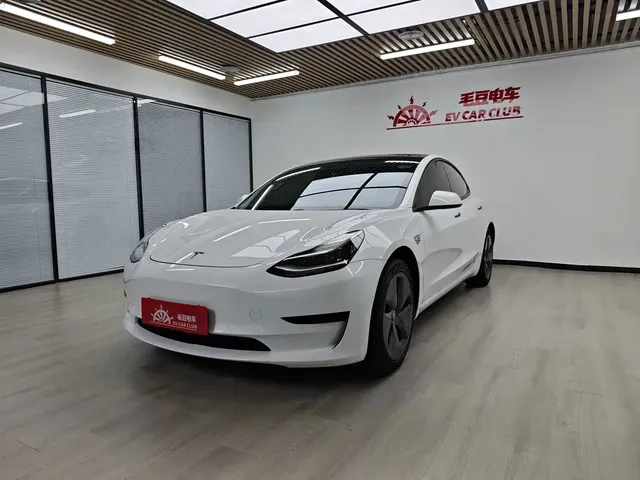 Tesla Model 3 2020 Standard Range Rear-Wheel Drive Upgrade