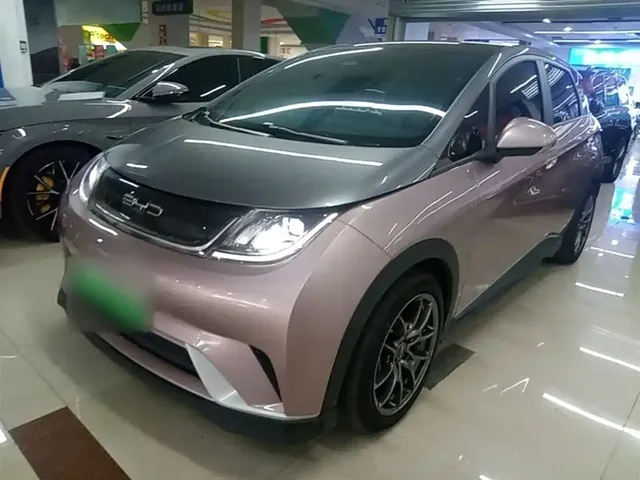 BYD Dolphin 2021 401km Knight Edition