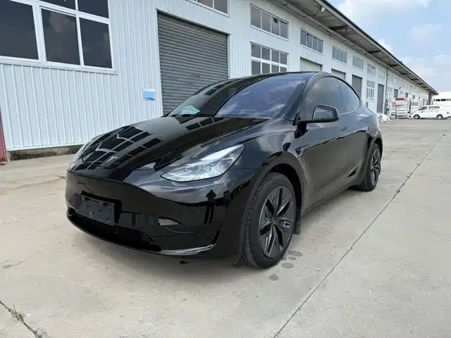 Tesla Model Y 2024 Rear-Wheel Drive Version