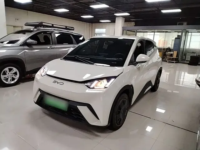 BYD Seagull 2025 305km Vitality
