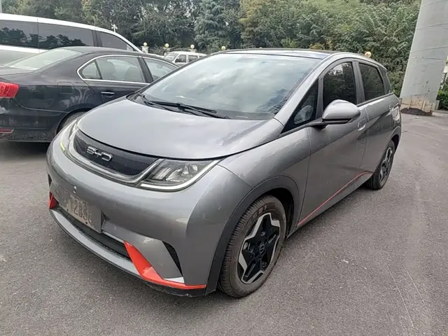 BYD Dolphin 2021 Model 405km Fashion Edition