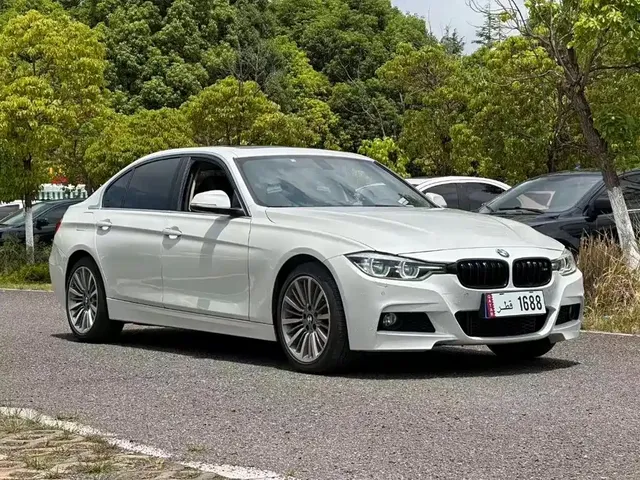 BMW 3 Series 2019 320Li M Sport Package