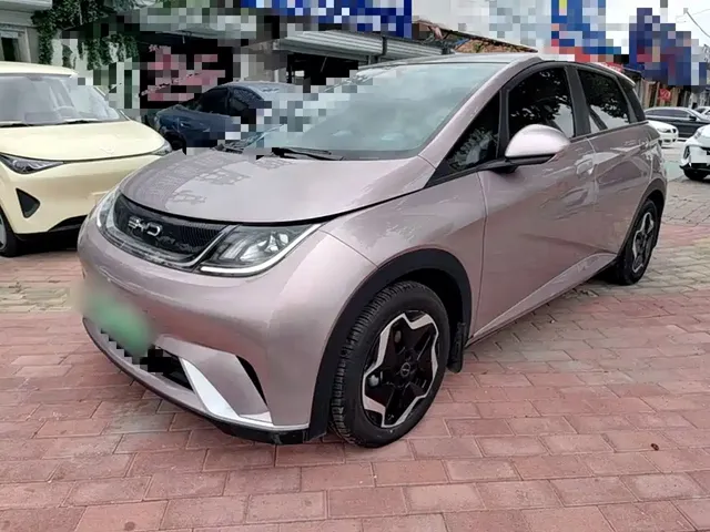 BYD Dolphin 2021 Model 405km Fashion Edition