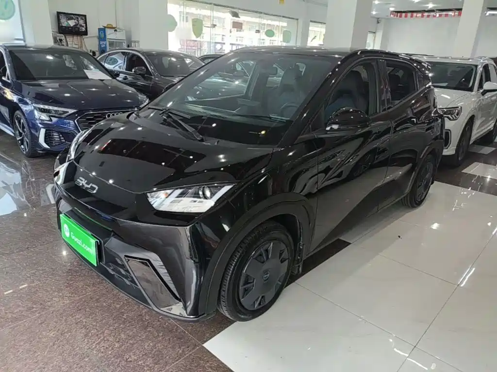 BYD Seagull 2025 305km Vitality
