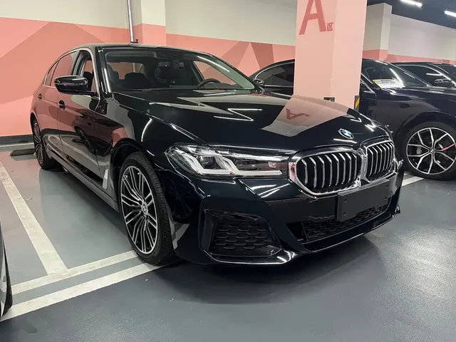 BMW 5 Series 2020 530Li Leading Luxury Package