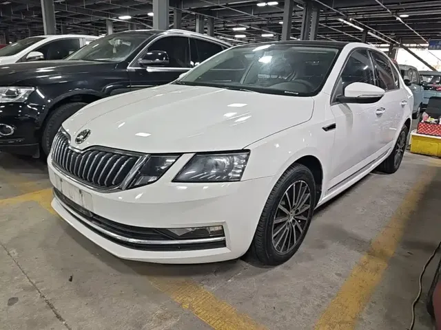 Škoda Octavia 2019 TSI230 DSG Zhixing Luxury Edition China VI