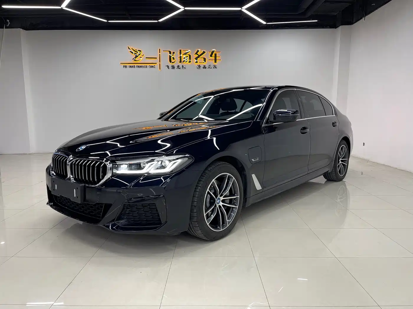 BMW 5 Series New Energy 2022 535Le M Sport Package