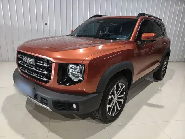 Haval Big Dog 2021 1.5T DCT 2WD Border Collie - Wangcai Edition