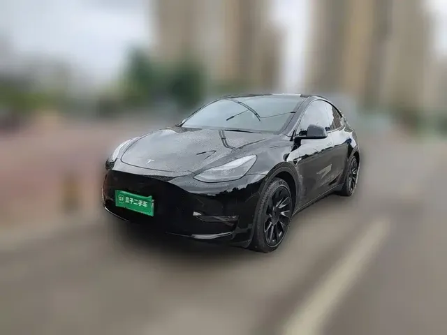 Tesla Model Y 2021 Standard Range Rear-Wheel Drive