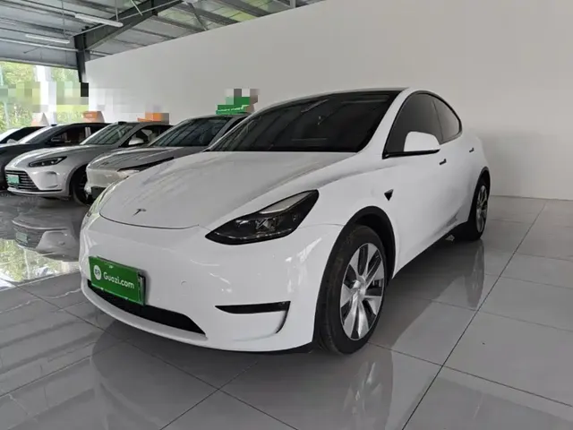 Tesla Model Y 2021 Model Long Range AWD
