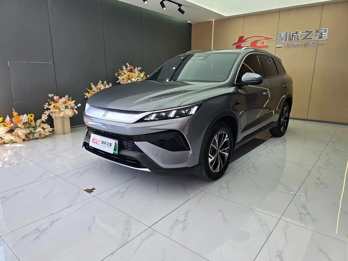 BYD Song Pro New Energy 2025 2nd Generation Smart Drive Edition DM-i 75KM Leading Type