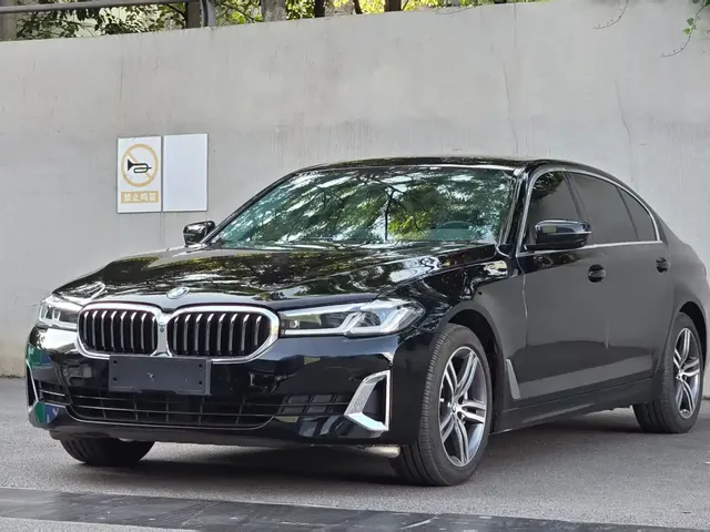 BMW 5 Series 2021 530Li Leading Luxury Package