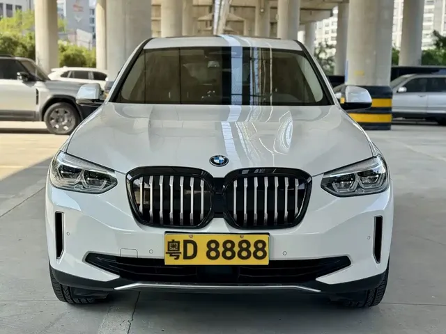 BMW iX3 2021 Leading