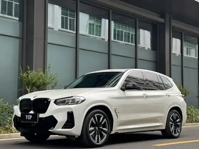 BMW iX3 2023 Leading Type