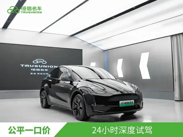 Tesla Model Y 2021 Long Range All-Wheel Drive 3D7