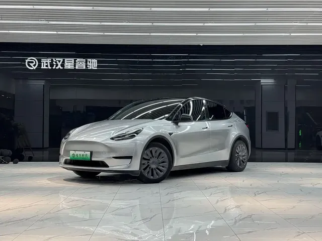 Tesla Model Y 2022 Rear-Wheel Drive Version