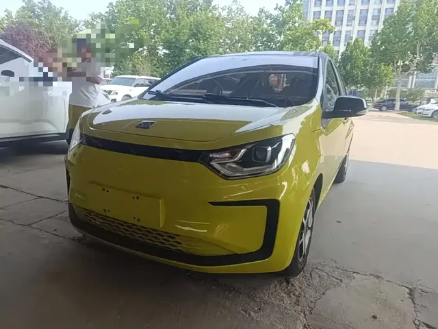 Sehol Flower Fairy 2021 302km Luxury Edition 31.4kWh