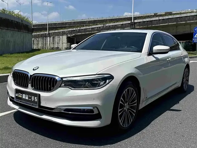 BMW 5 Series 2019 530Li Premium Luxury Package