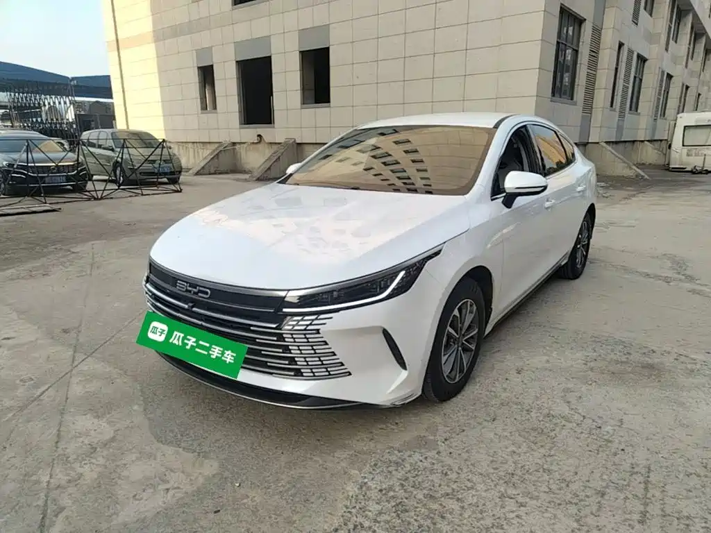 BYD Destroyer 05 2024 Glory Edition DM-i 55KM Luxury