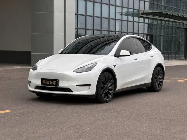 Tesla Model Y 2022 Performance High-Performance All-Wheel Drive Version