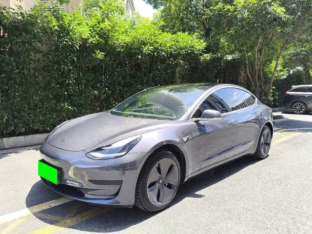 Tesla Model 3 2020 Standard Range Rear-Wheel Drive Upgrade