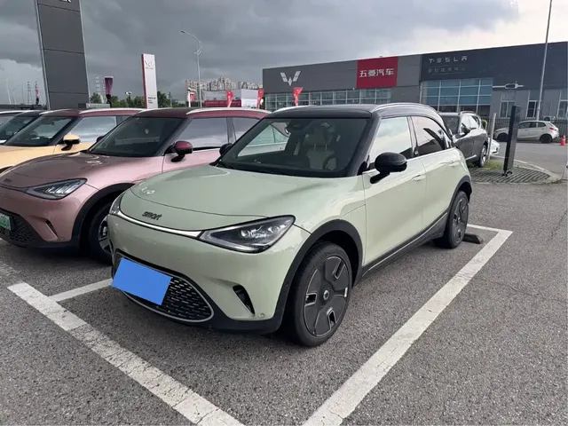 smart Elf #1 2024 Premium Edition