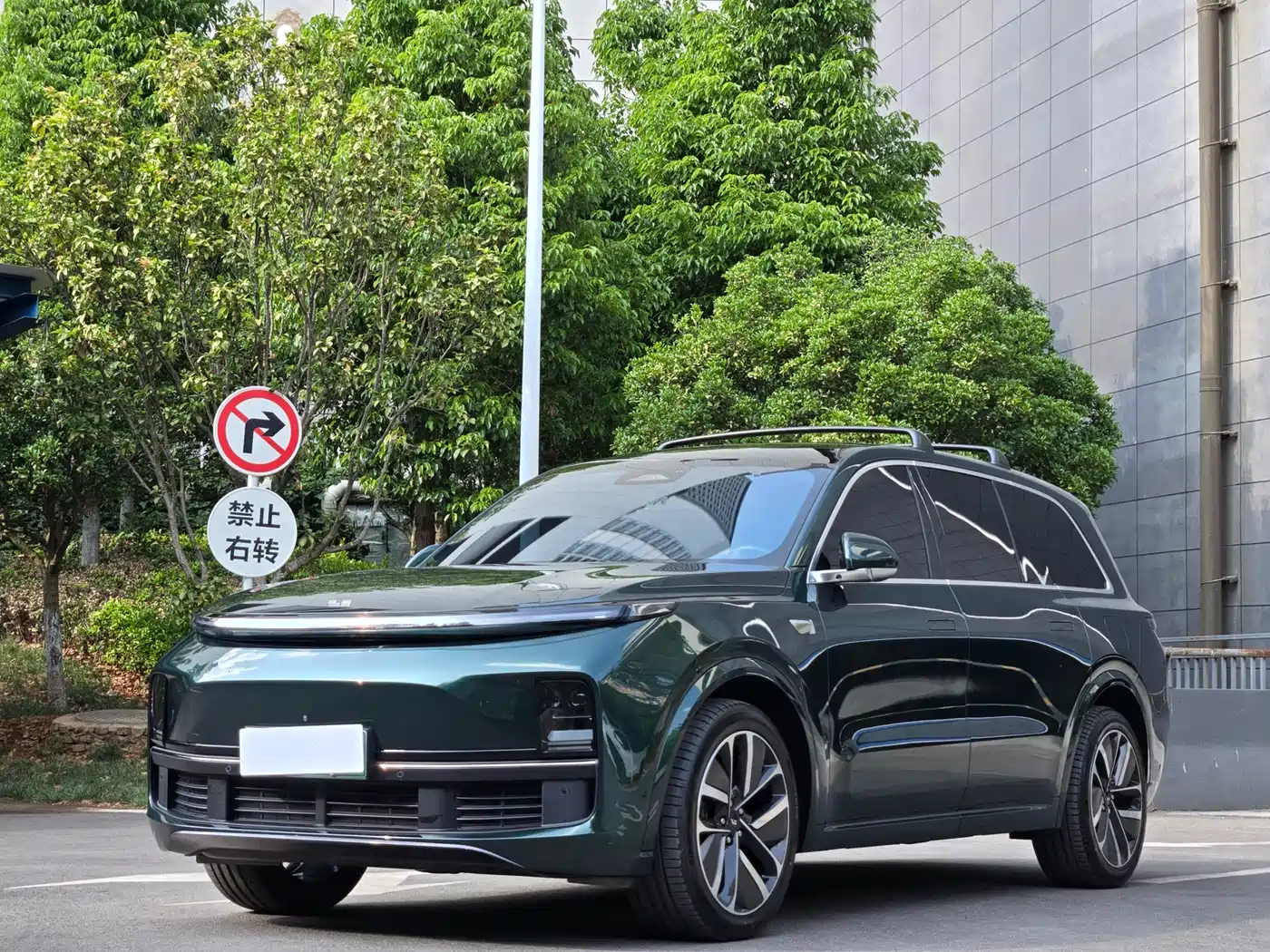 Li Auto Li Xiang L9 2023 Model Pro