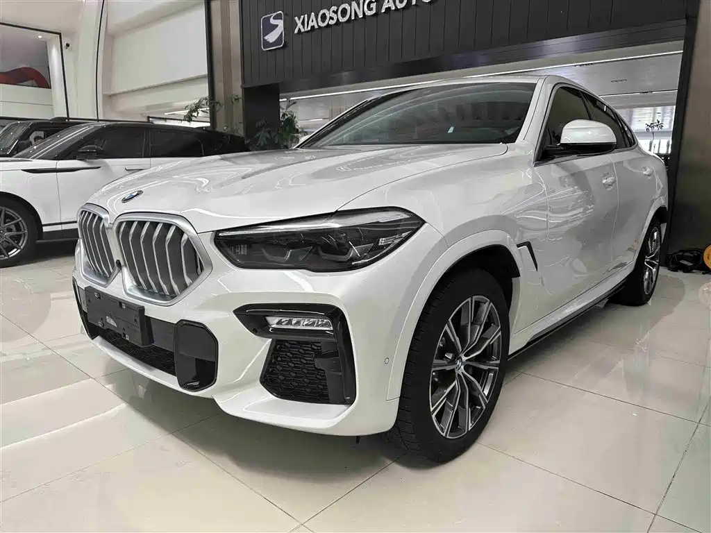 BMW X6 2021 xDrive30i M Sport Package