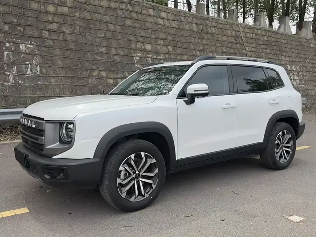Haval Big Dog 2024 Model 1.5T DCT Labrador Edition