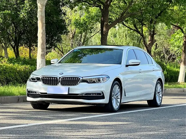 BMW 5 Series 2019 530Li Leading Luxury Package