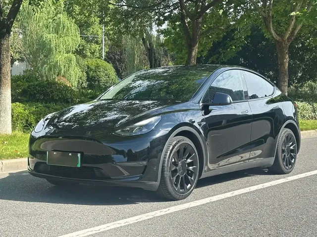 Tesla Model Y 2022 Rear-Wheel Drive Version