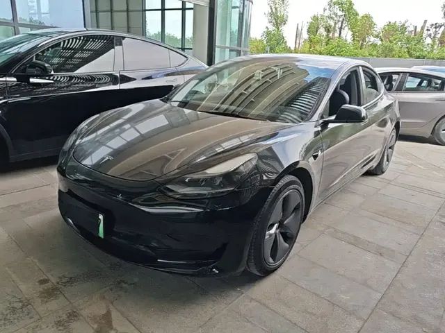 Tesla Model 3 2021 Standard Range Rear-Wheel Drive Upgrade 3D6