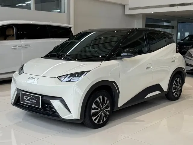 BYD Seagull 2024 Glory Edition 305km Vitality Edition