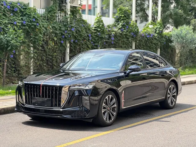 Hongqi H9 2024 2.0T Qi Chang Private Fashion Edition