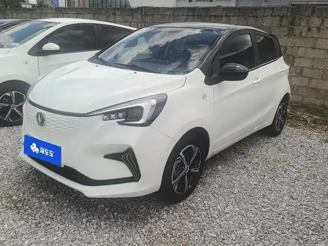 Changan Benben E-Star 2022 Appreciation Edition Colorful LFP