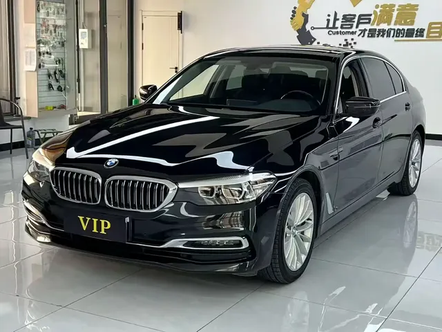 BMW 5 Series 2019 530Li Leading Luxury Package