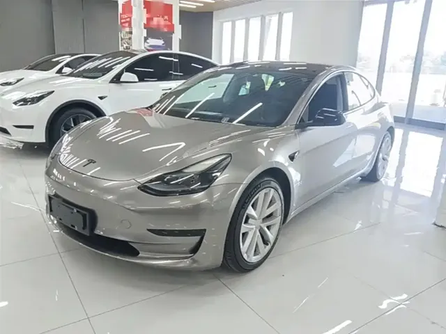 Tesla Model 3 2022 Model Rear-Wheel Drive Version